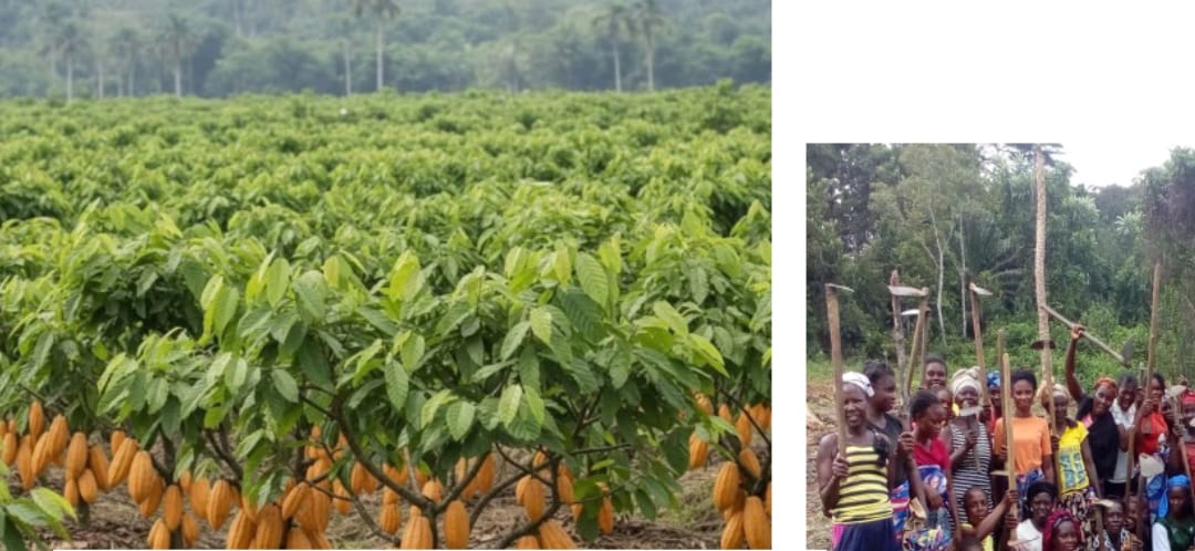 Sorry! Image not available at this time