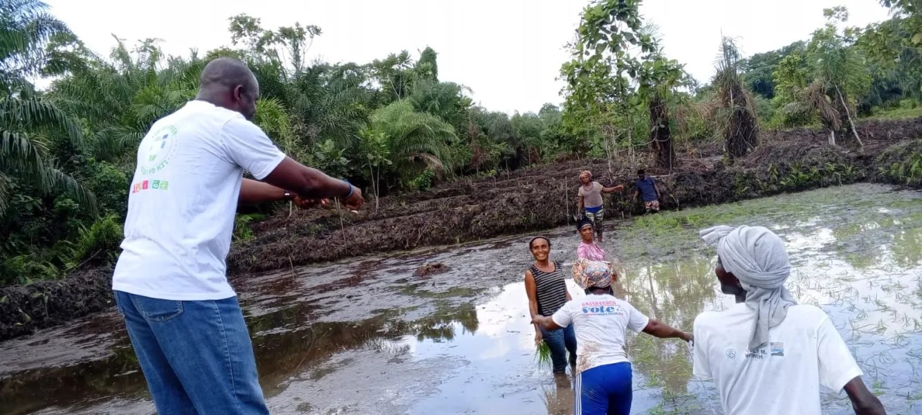 Government of Liberia and UNDP to Launch SARTLA Climate Resilience Project