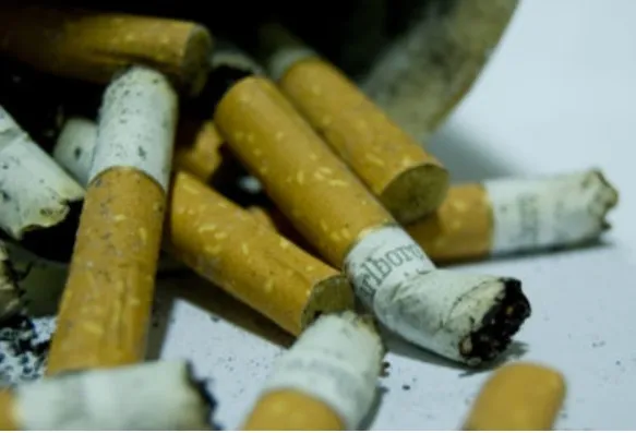 TAXING TOBACCO & PROTECTING LIVES…Echoes From The ECOWAS Gathering In Conakry